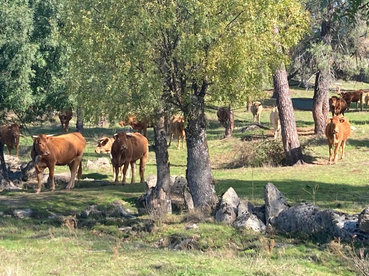 Casa Rural Aventura I Βίλα Navaluenga Εξωτερικό φωτογραφία